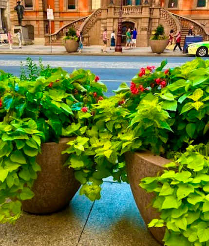street planters